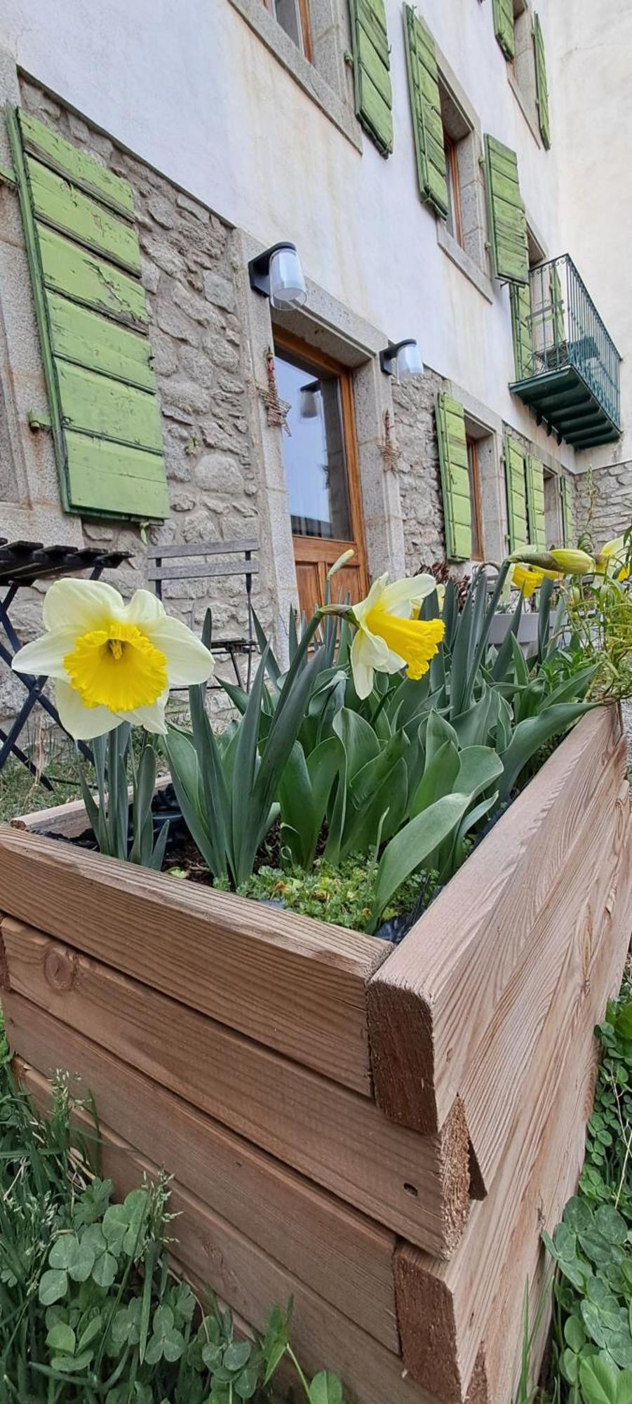 Le Grenier Des Moineaux Acomodação com café da manhã Font-Romeu-Odeillo-Via Exterior foto
